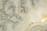 Polished Crazy Lace Agate Slab - Mexico #337009-1